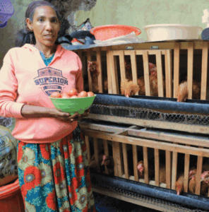 Ethiopia Kyeema DAP project