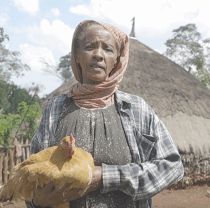 Zenebech, Kyeema Ethiopa