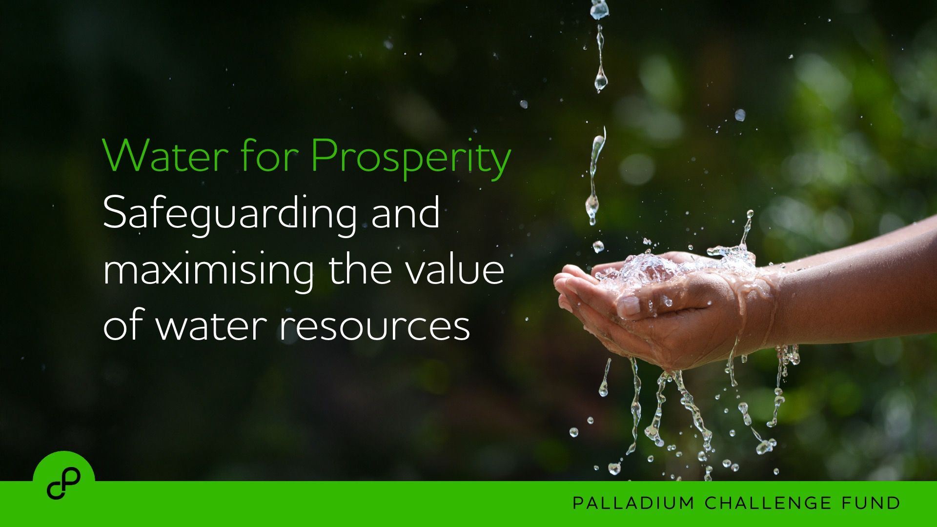 Palladium Challenge Fund 2026