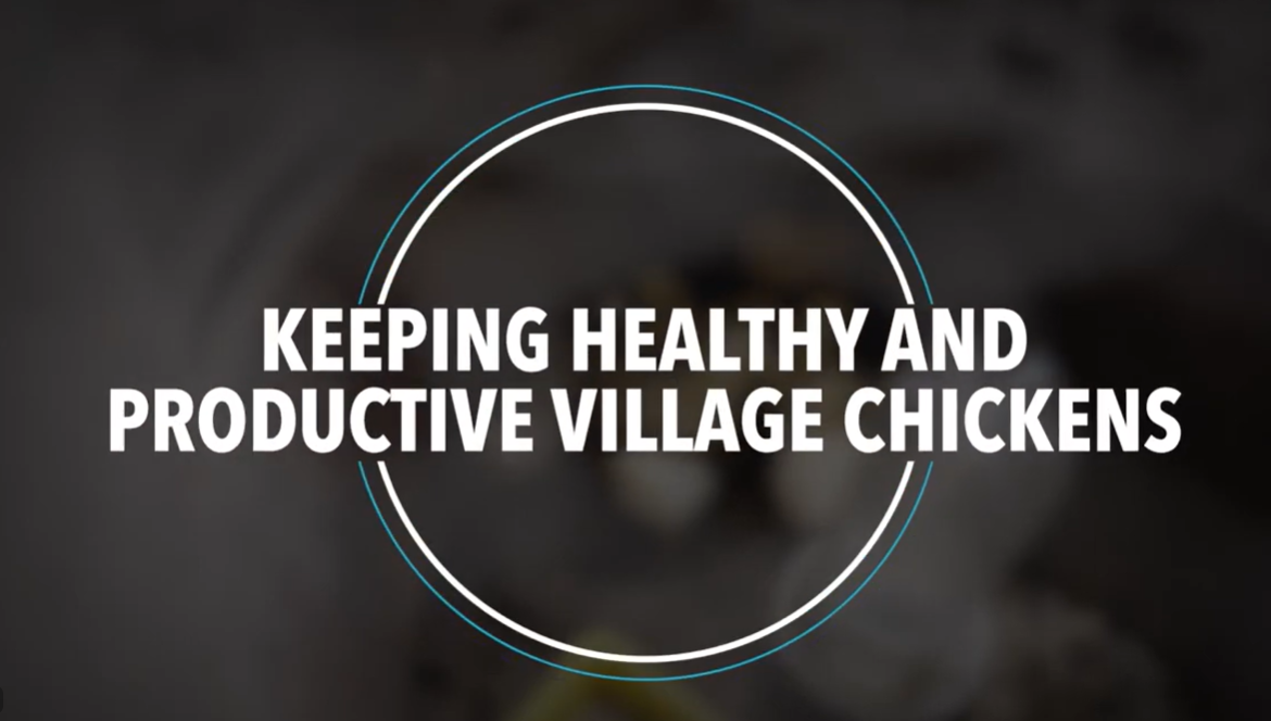 Resource page - training graphic